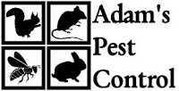 Adams Pest Control 375169 Image 0